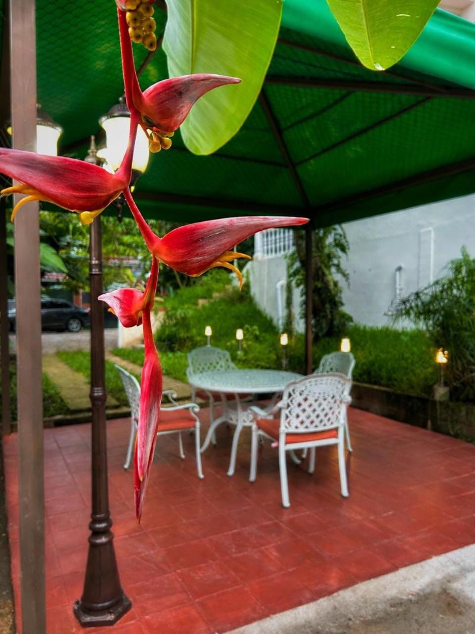 Dining area, Garden view