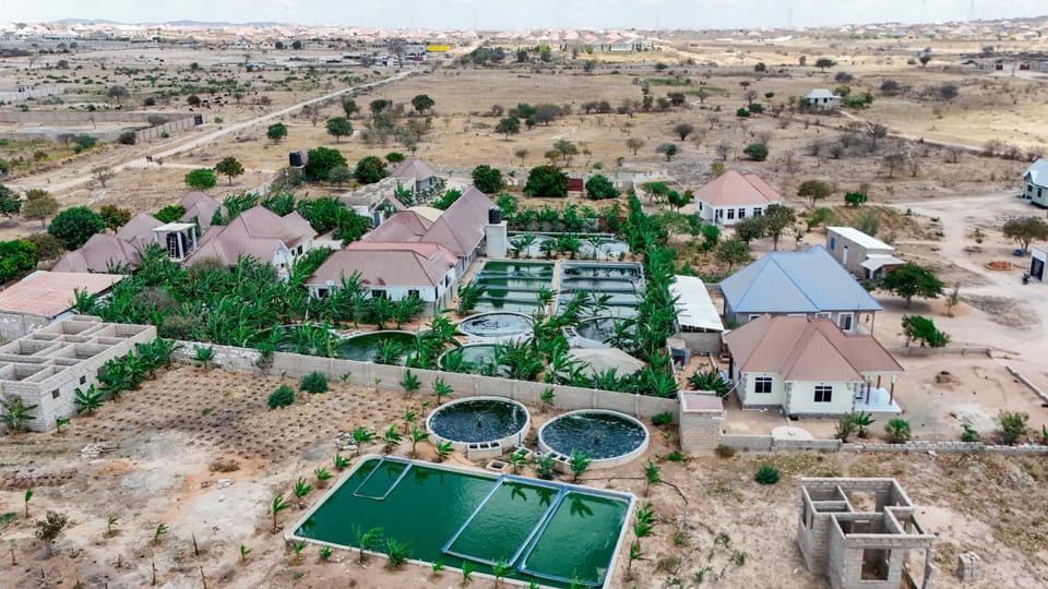 Property building, Neighbourhood, Bird's eye view, Street view