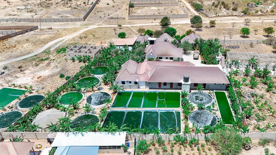 Property building, Natural landscape, Bird's eye view