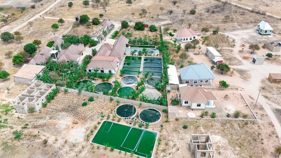 Property building, Day, Natural landscape, Bird's eye view