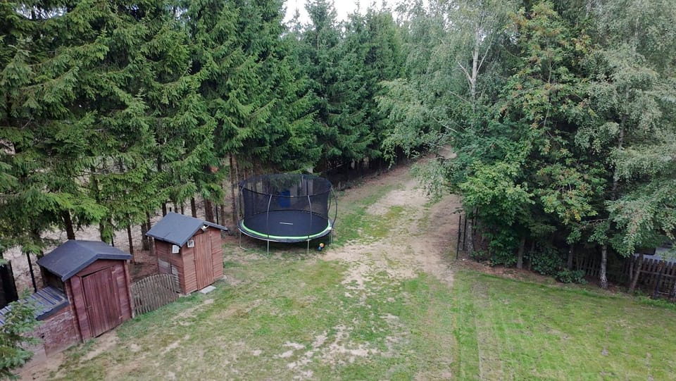 Natural landscape, Evening entertainment, Garden view