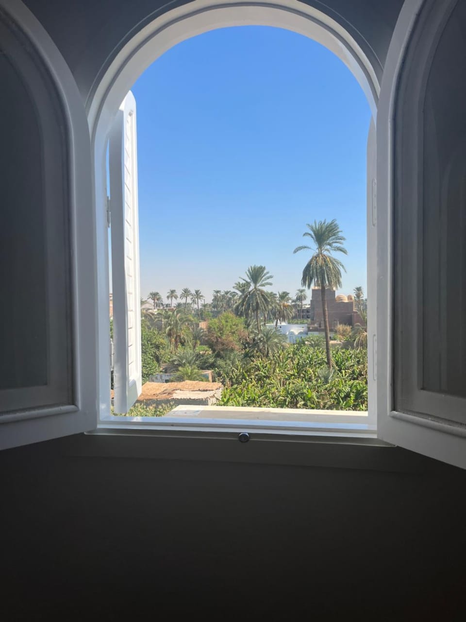 Day, Natural landscape, Garden view