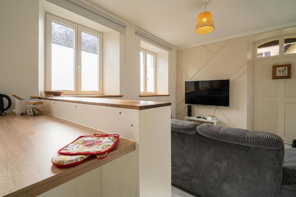 Le Cocon Alsacien - Parking privé Apartment in Grand Est