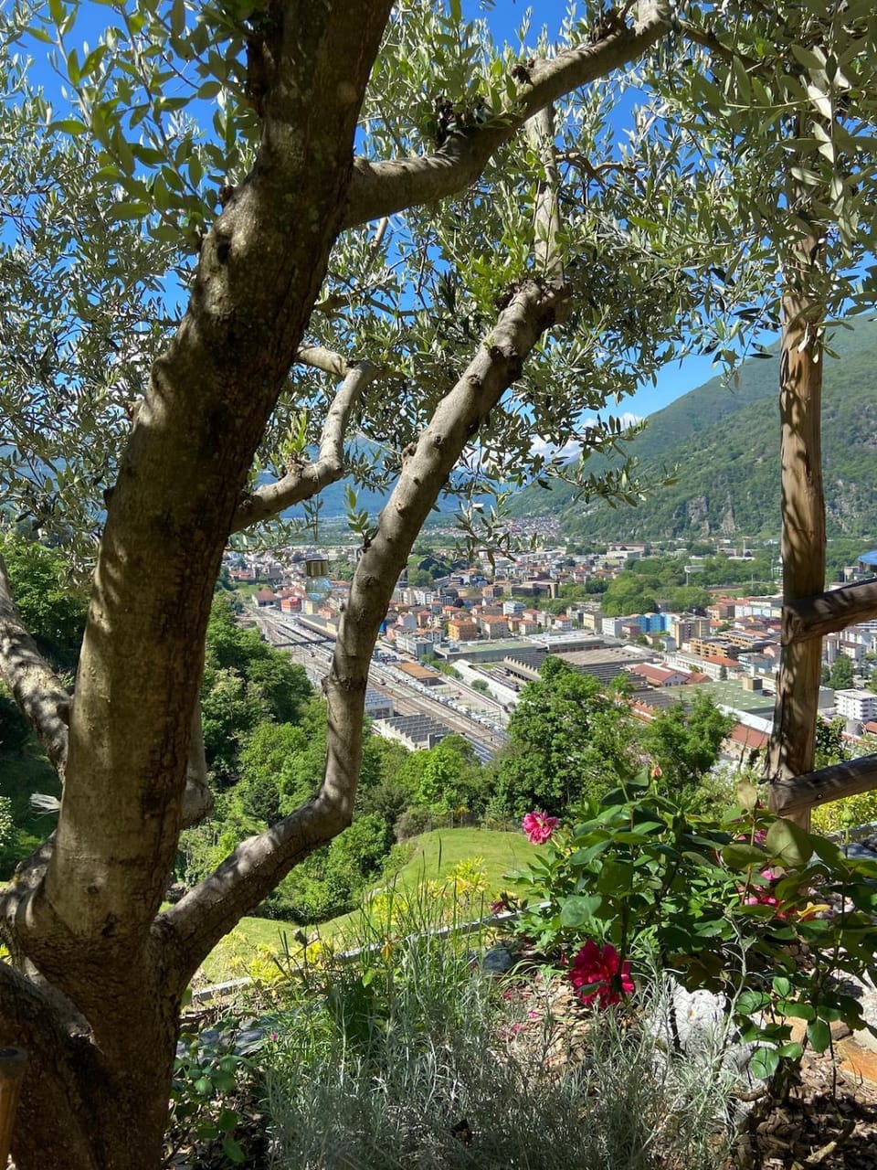 Casa Al Nögh Apartment in Bellinzona