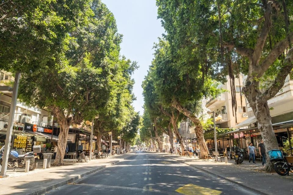 Spring, Day, Neighbourhood, City view, Street view