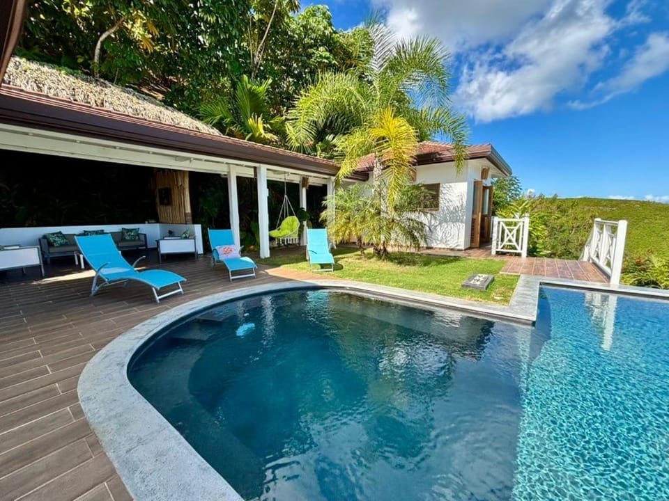 Villa Atlantide Ocean View & Infinity Pool Villa in Las Terrenas
