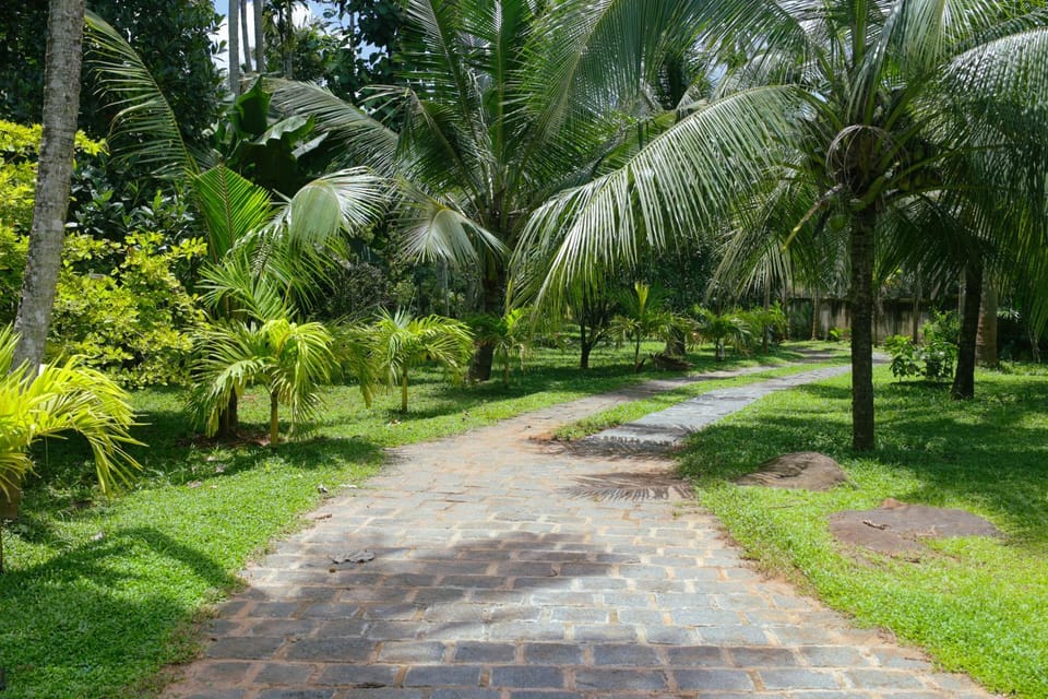 Nyra Thottam Athirappilly Apartment in Kerala