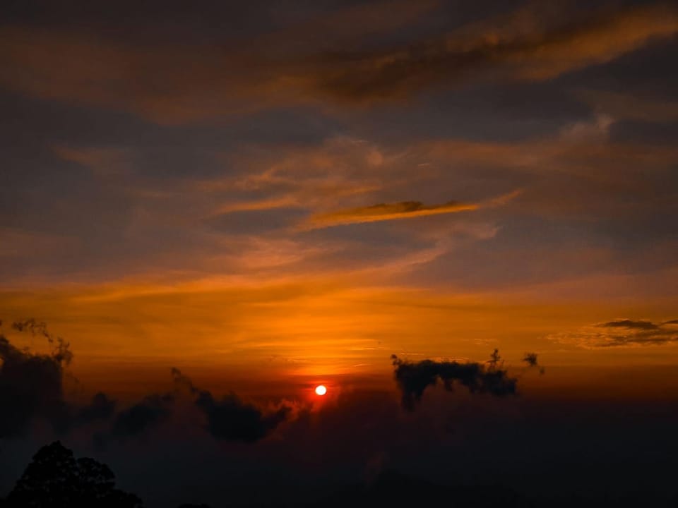 Wooden cottage Bed and Breakfast in Kodaikanal