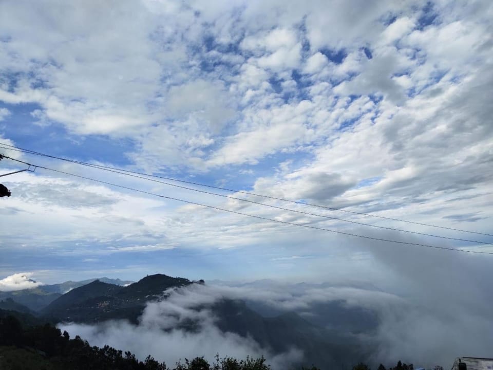 Wooden cottage Bed and Breakfast in Kodaikanal