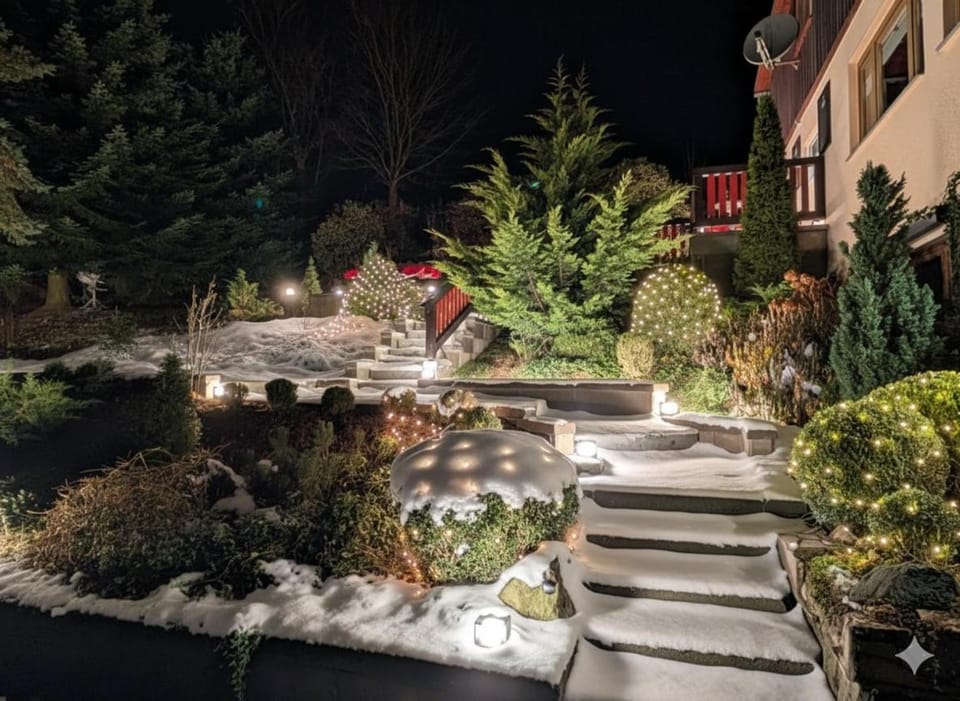 Night, Garden, Garden view