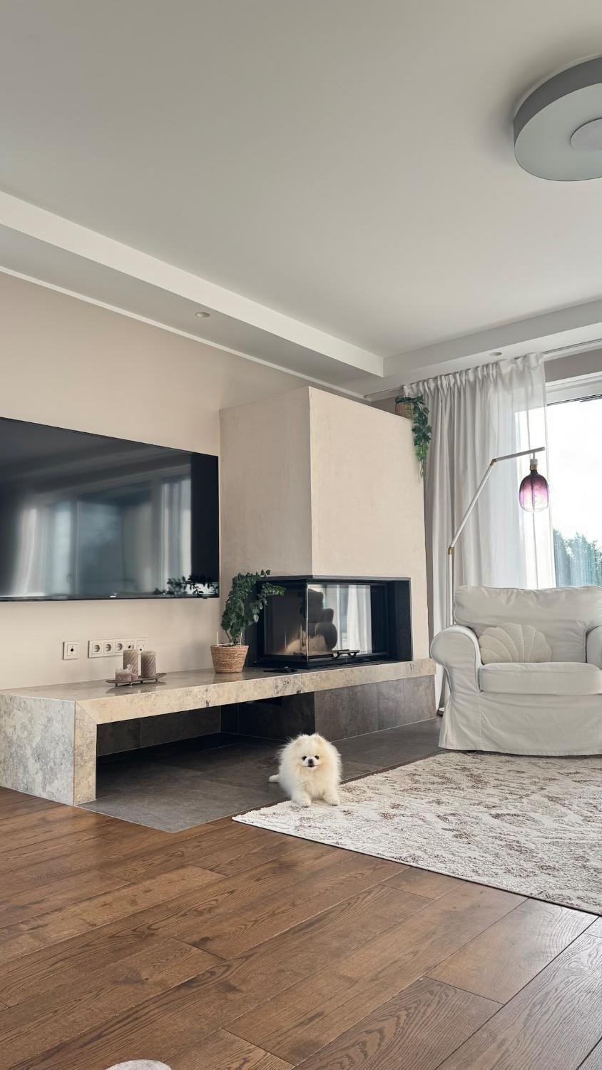 TV and multimedia, Living room, Seating area, pet friendly