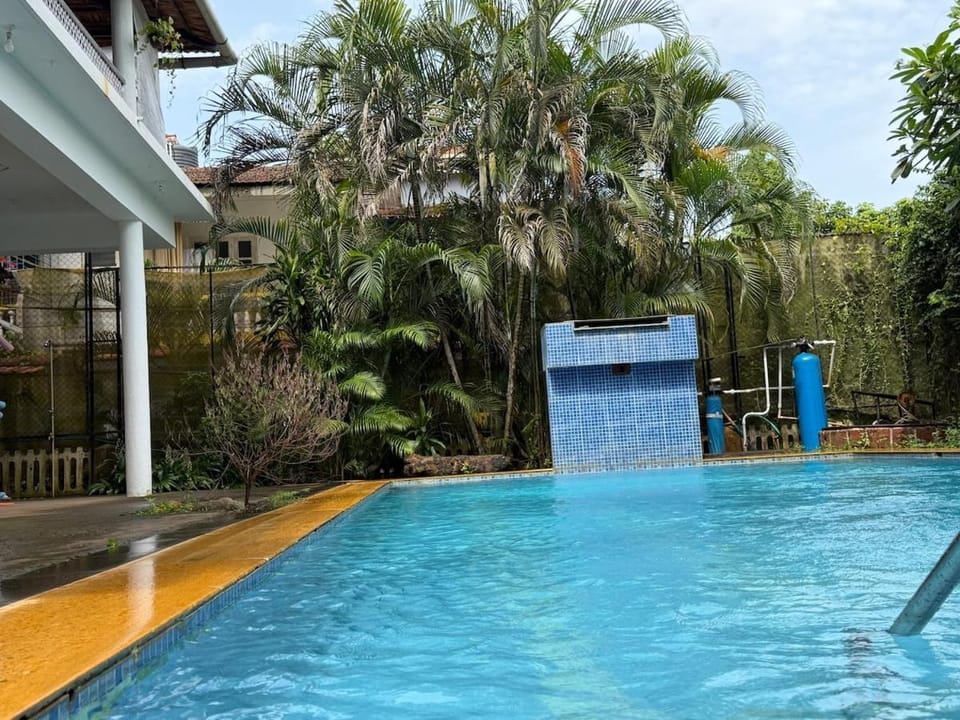 Garden, Swimming pool, sunbed