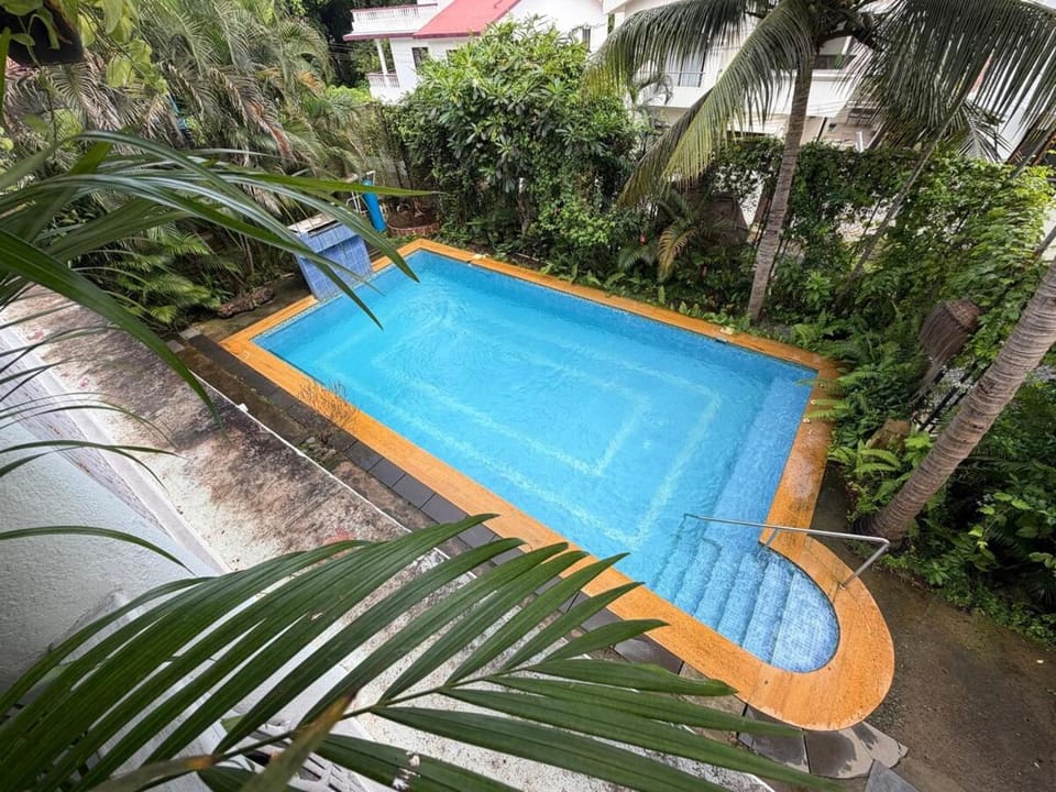 Swimming pool, sunbed