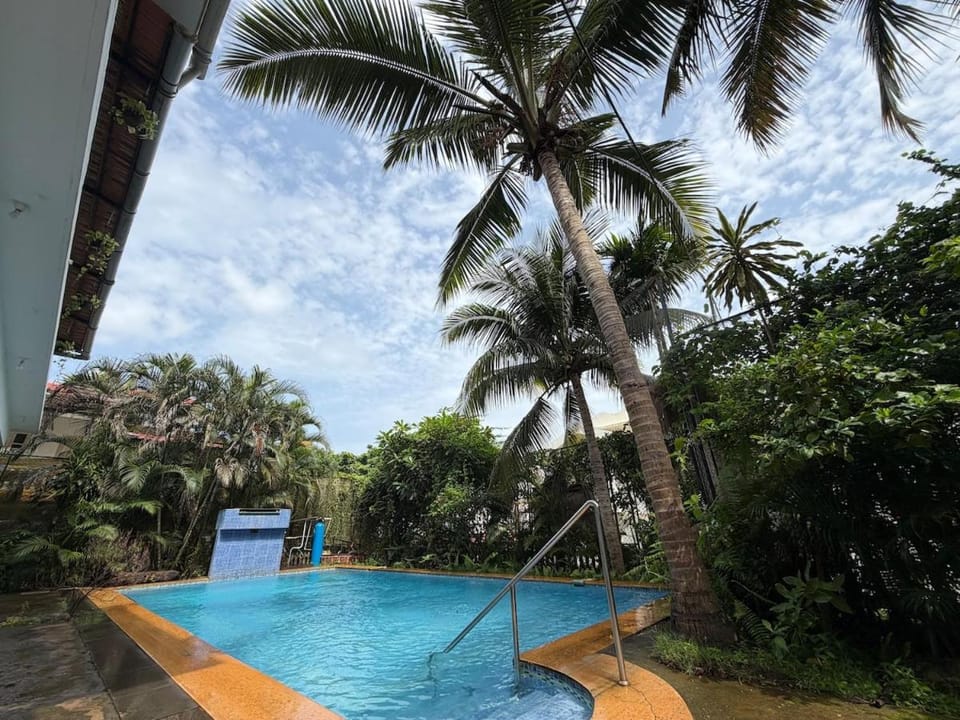 Natural landscape, Garden, Swimming pool, sunbed