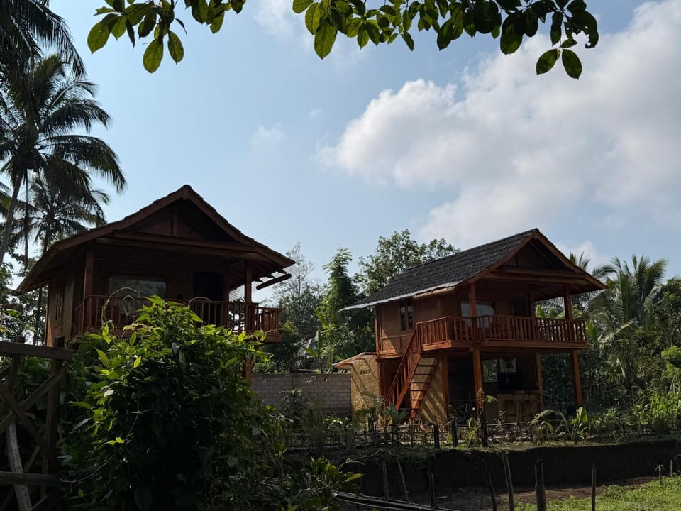 Property building, Natural landscape, Garden, Garden view