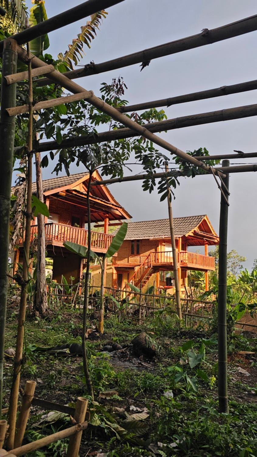 Property building, Day, Garden view