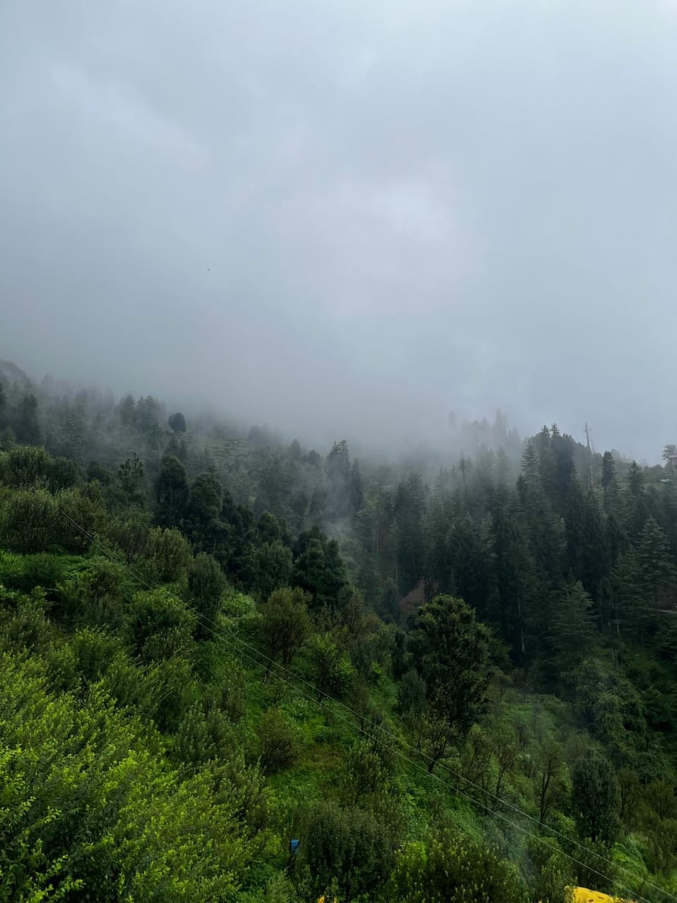 Hippie Mama Homestay - An apple Farmstay Vacation rental in Himachal Pradesh