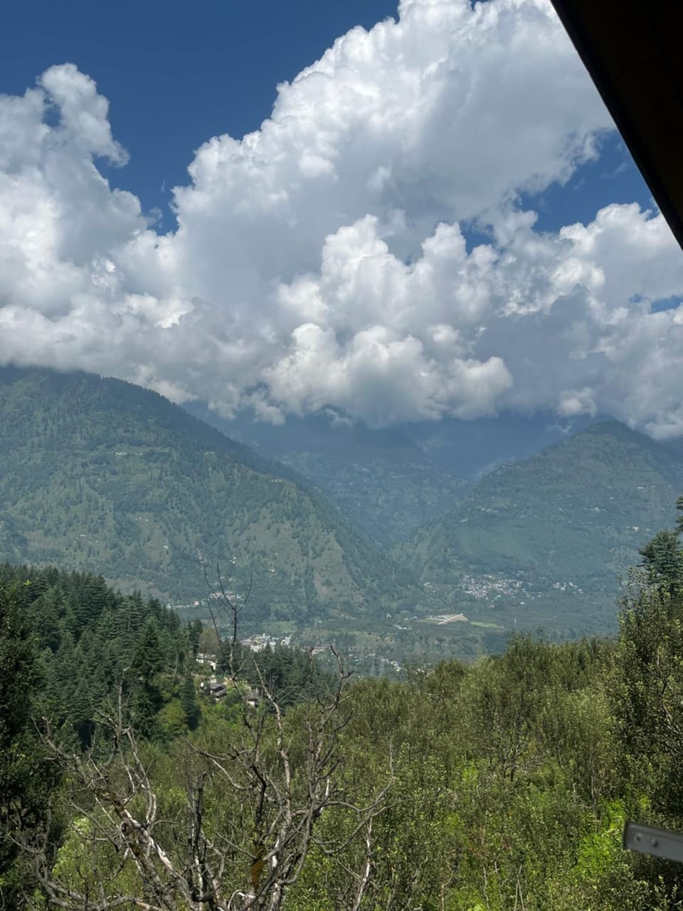 Hippie Mama Homestay - An apple Farmstay Vacation rental in Himachal Pradesh