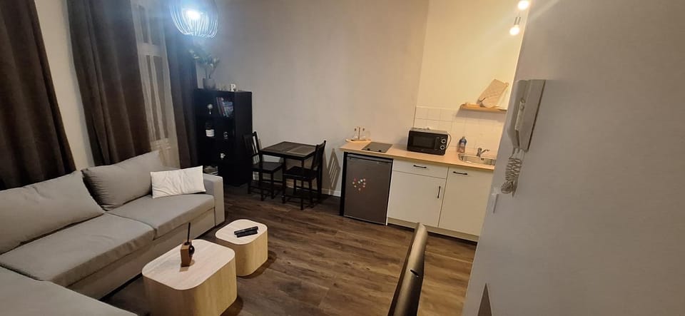 Cocoon Lillois Lille-Flandres Vieux-Lille Apartment in Lille