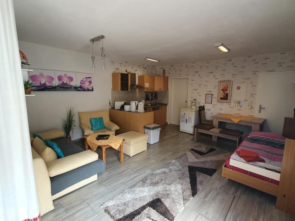 Kitchen or kitchenette, Living room, Photo of the whole room, Seating area, Dining area, Bedroom
