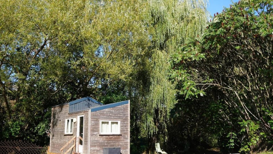 Property building, Natural landscape, Garden