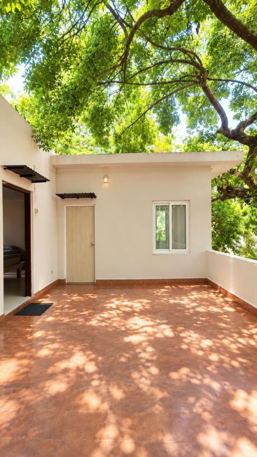 Property building, Day