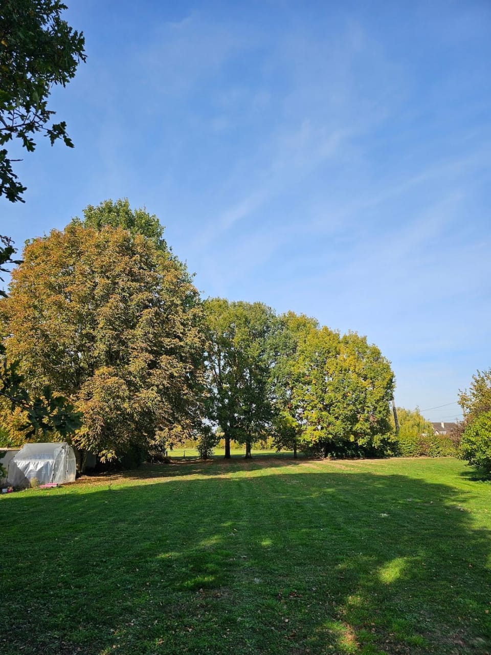 Garden, Garden view