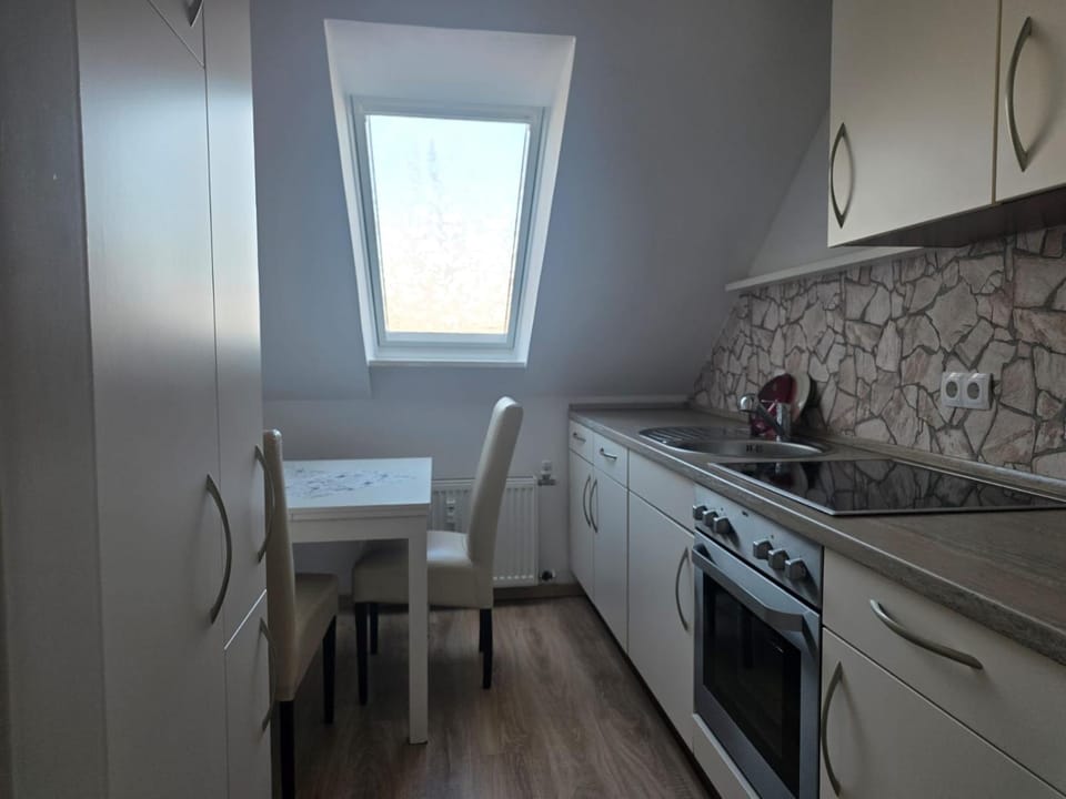 Kitchen or kitchenette, Dining area, oven, stove