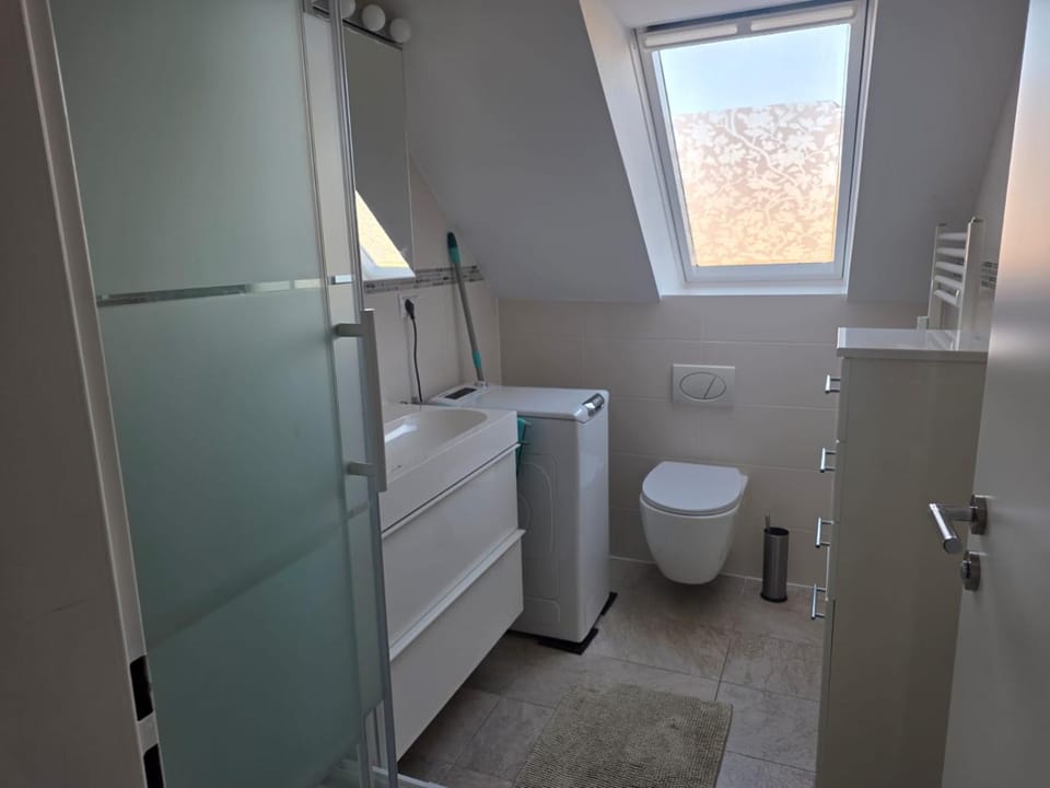 Shower, Toilet, washing machine