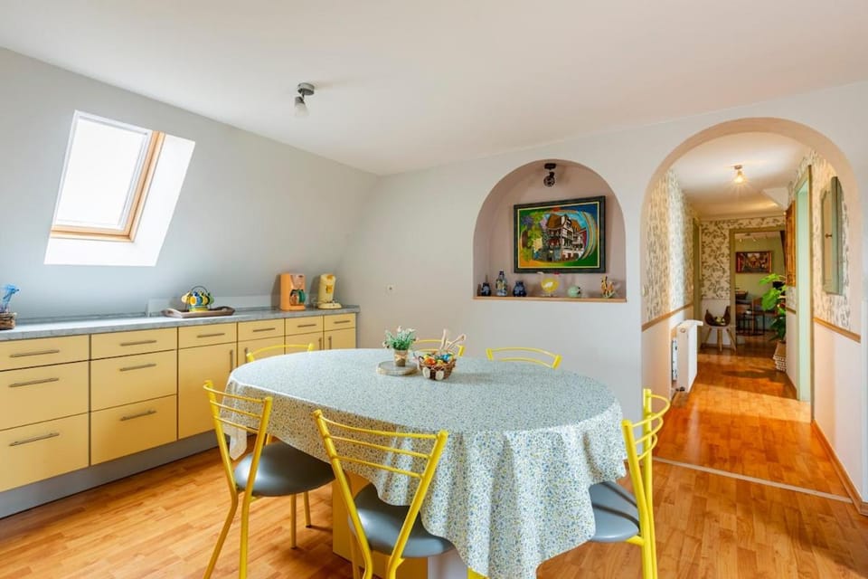 Lovely apartment with AC and big private terrace Apartment in Grand Est