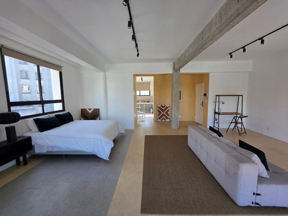 Historic Art Deco Apartment - 13th Floor Apartment in Sao Paulo City