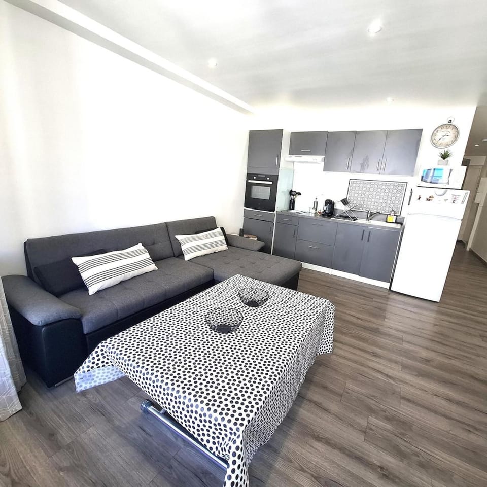 Cagnes sur Mer Apartment Beaches and Shops Apartment in Nice