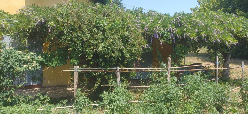 Aou Massou Villa in Nouvelle-Aquitaine