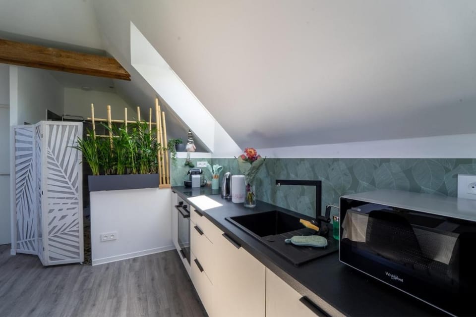 Comfortable apartment near Europa-Park Apartment in Grand Est