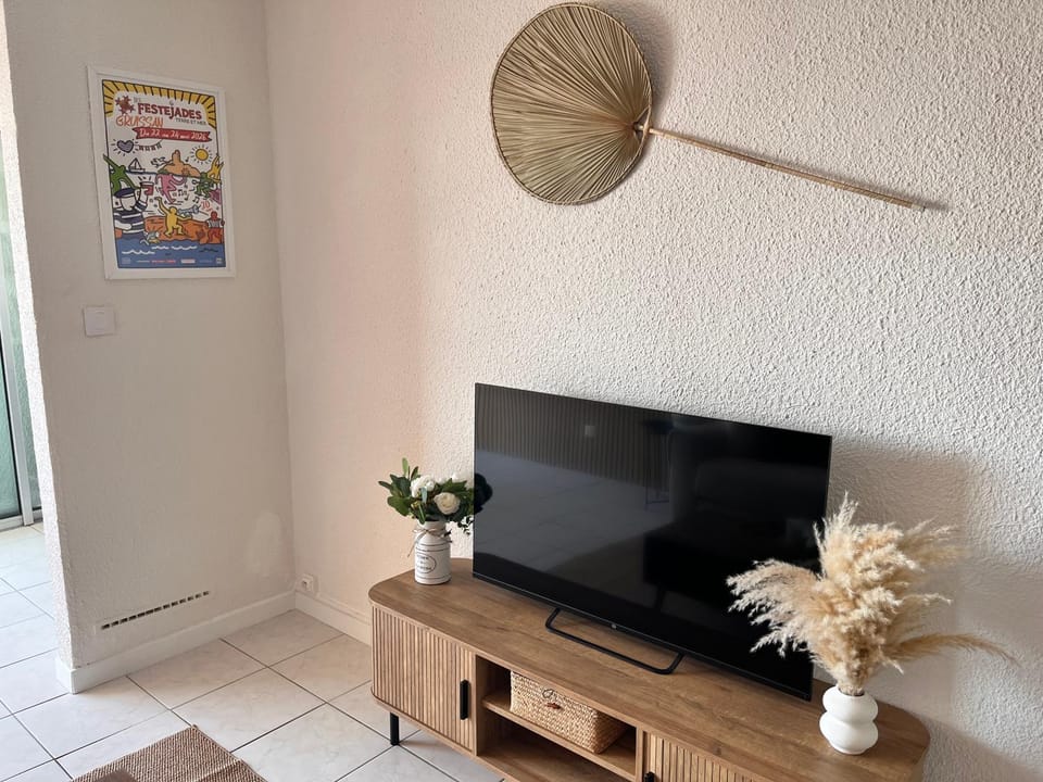 TV and multimedia