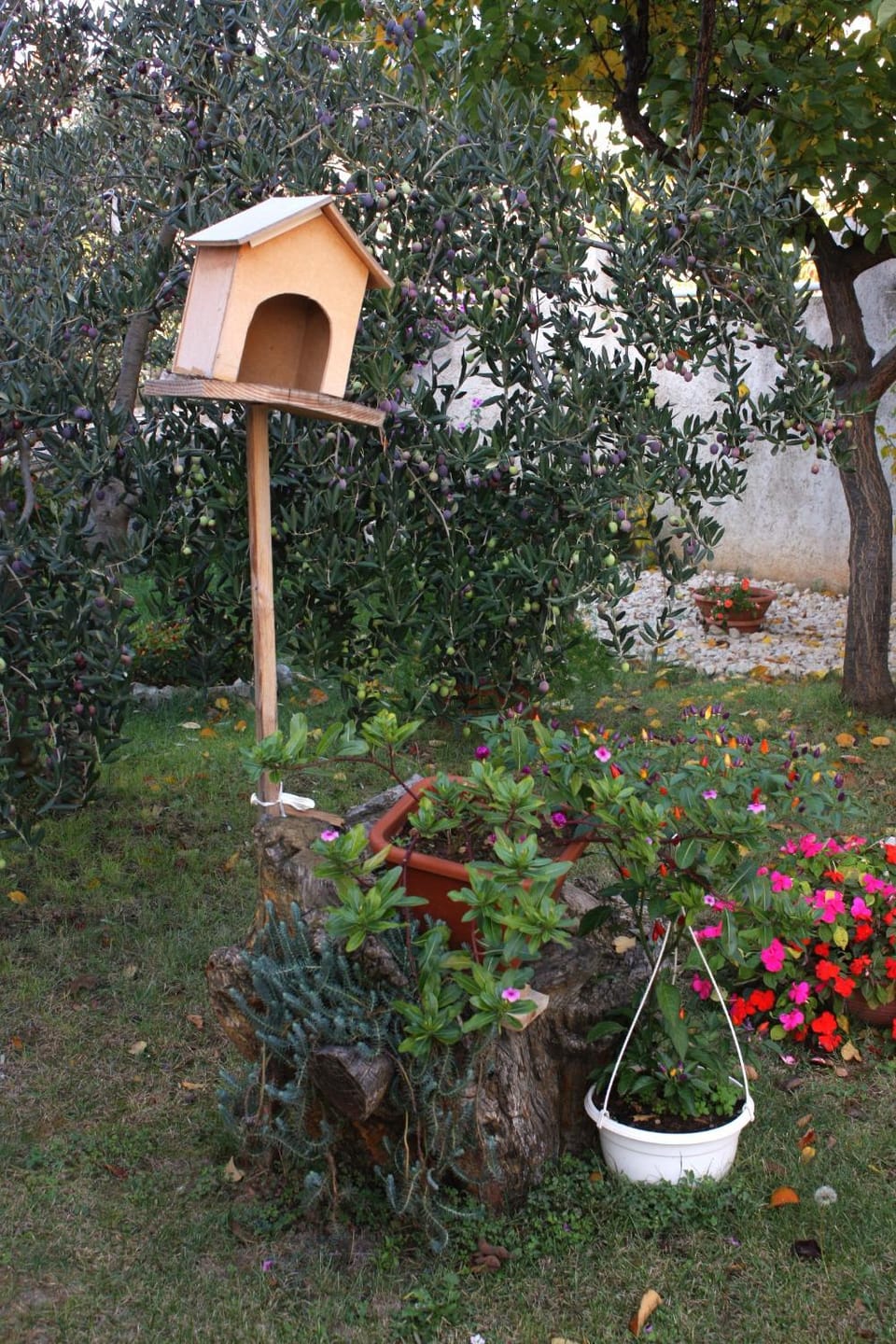 Location, children, Family