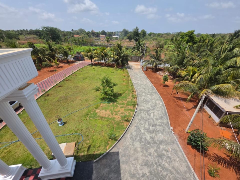 Natural landscape, Garden view