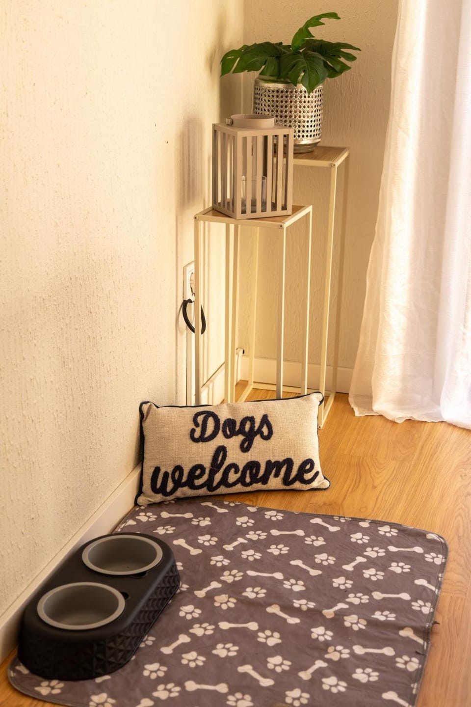 pet friendly