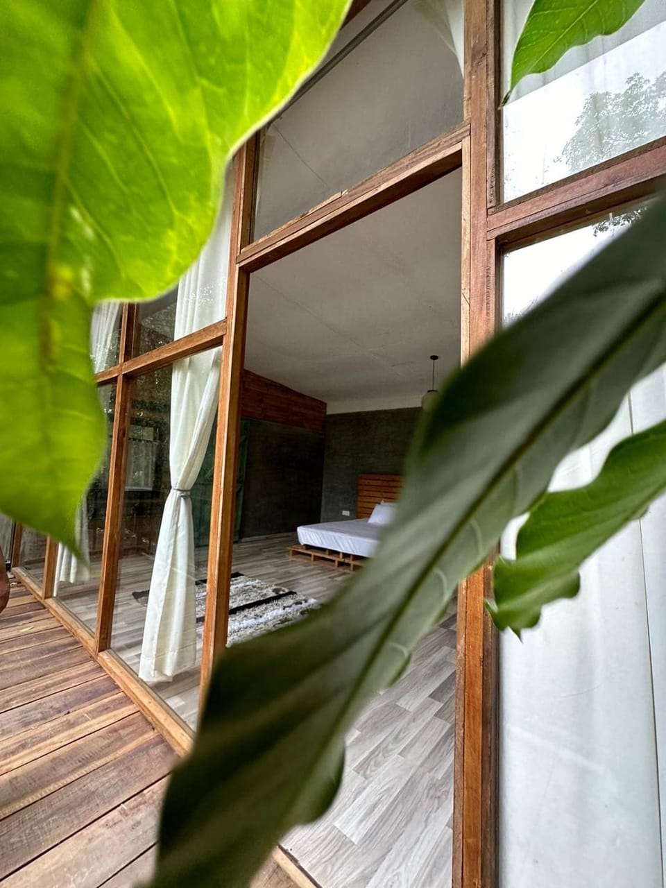 The Forest by Kaliante Nature lodge in Gangawatakorale