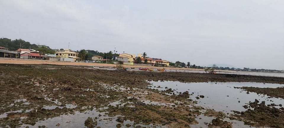 Natural landscape