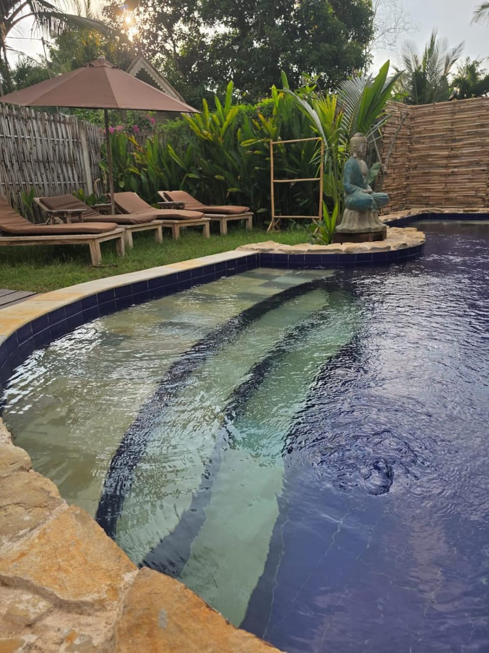 Natural landscape, Garden, Garden, Garden view, Pool view, Swimming pool, Swimming pool