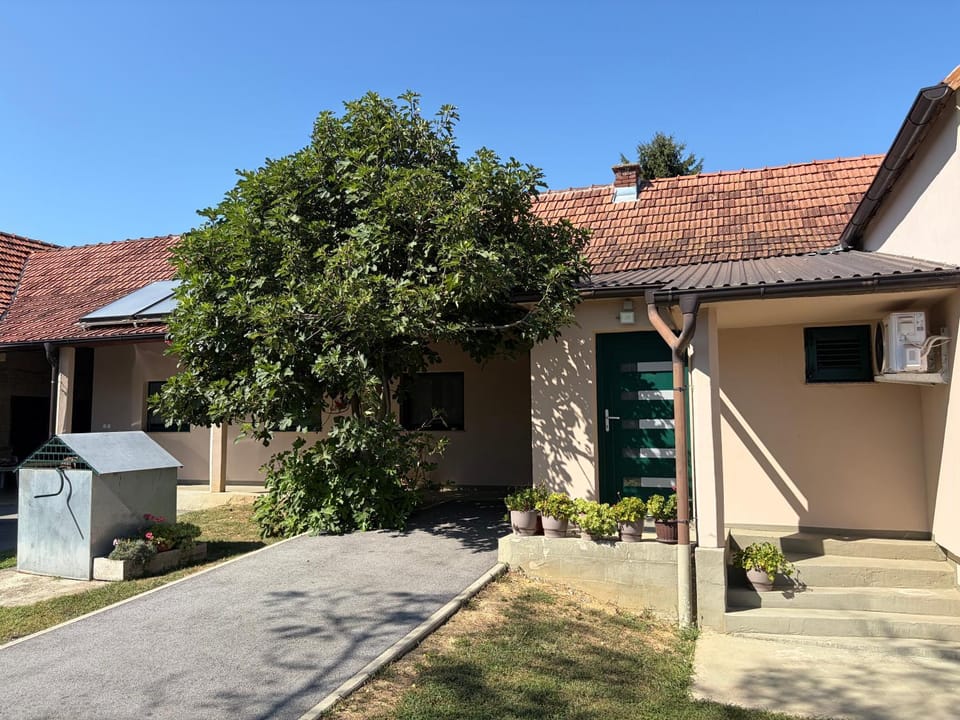 Property building, Day, Garden