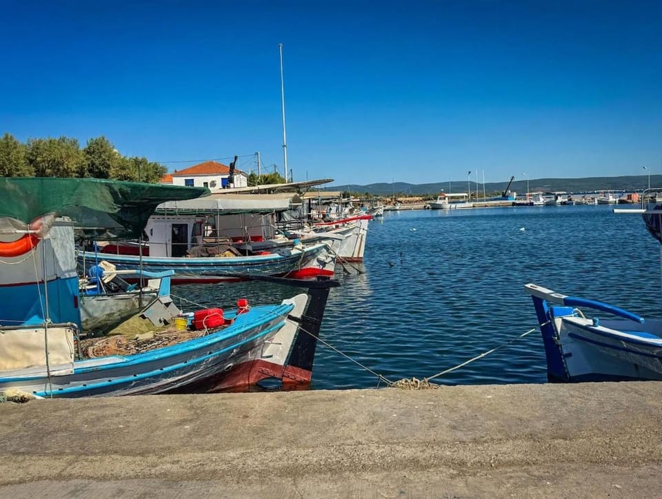 Villa Grimani-Spacious house with garden and traditional attic Villa in Decentralized Administration of the Aegean