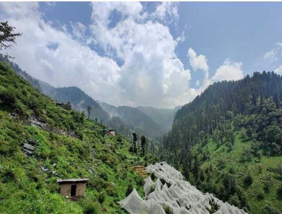 route305 Bed and Breakfast in Himachal Pradesh