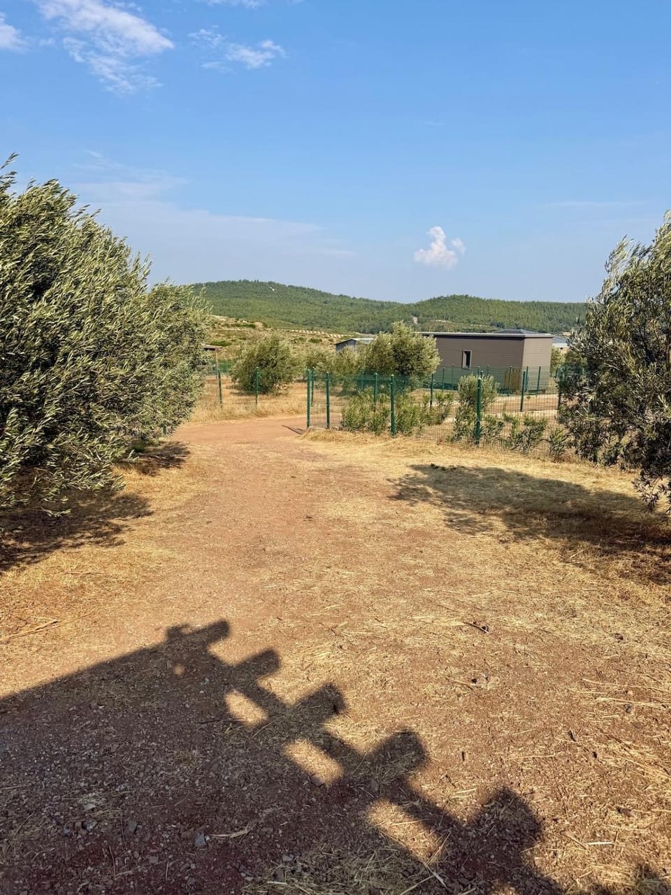 Mon Urla - Mastika Campground/ 
RV Resort in İzmir Province