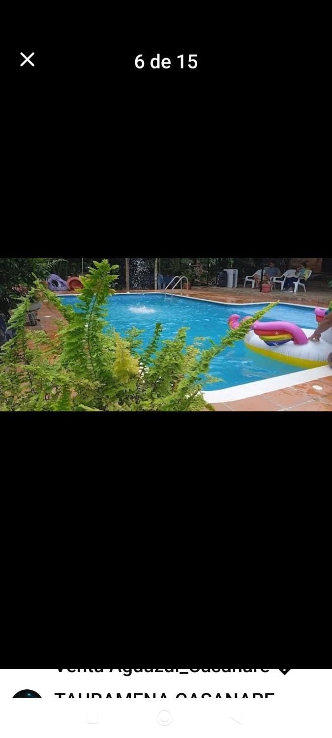 Swimming pool
