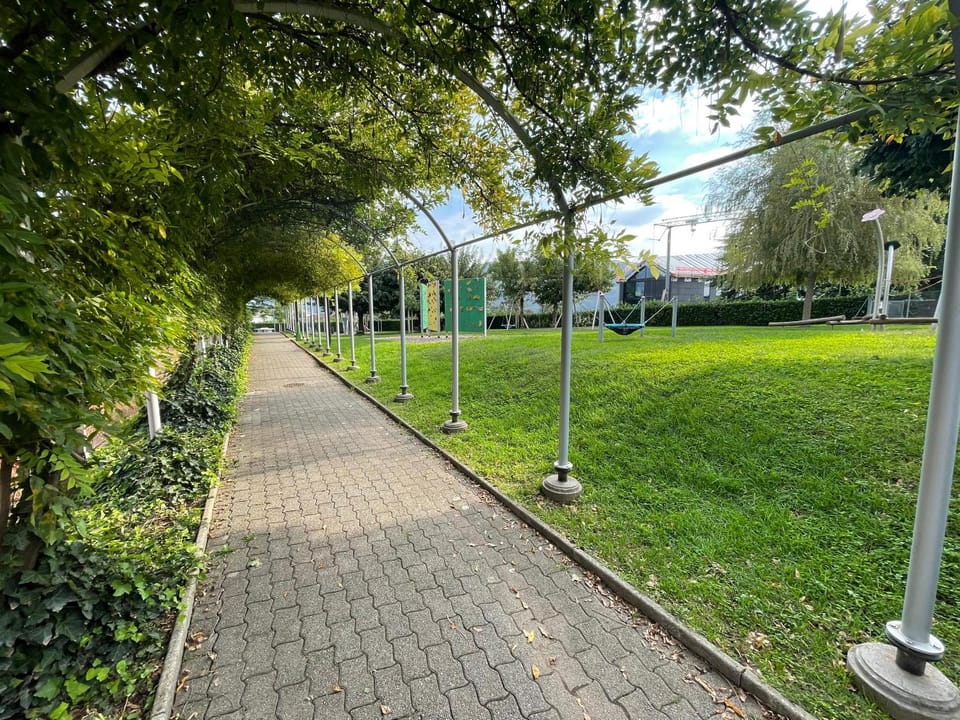Natural landscape, Garden