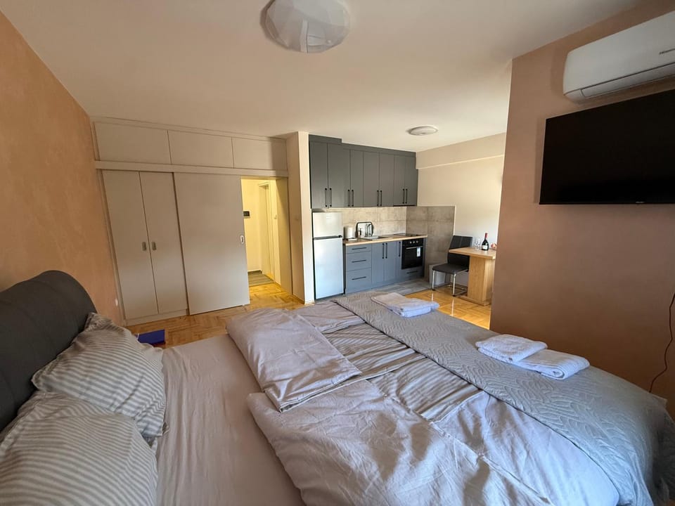 Bed, TV and multimedia, Kitchen or kitchenette, Photo of the whole room, Bedroom, oven, towels, wardrobe, air conditioner