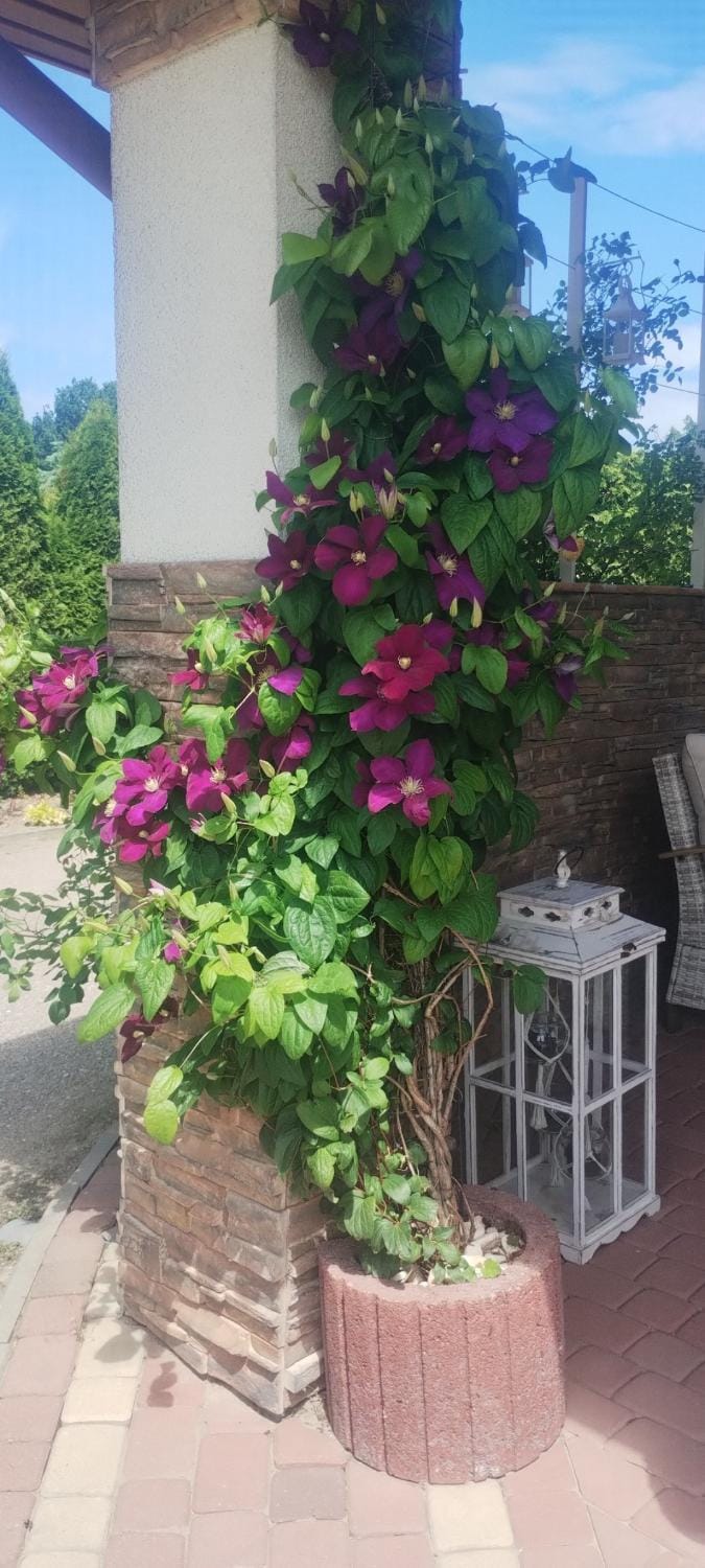 U Edyty Bed and Breakfast in Poland