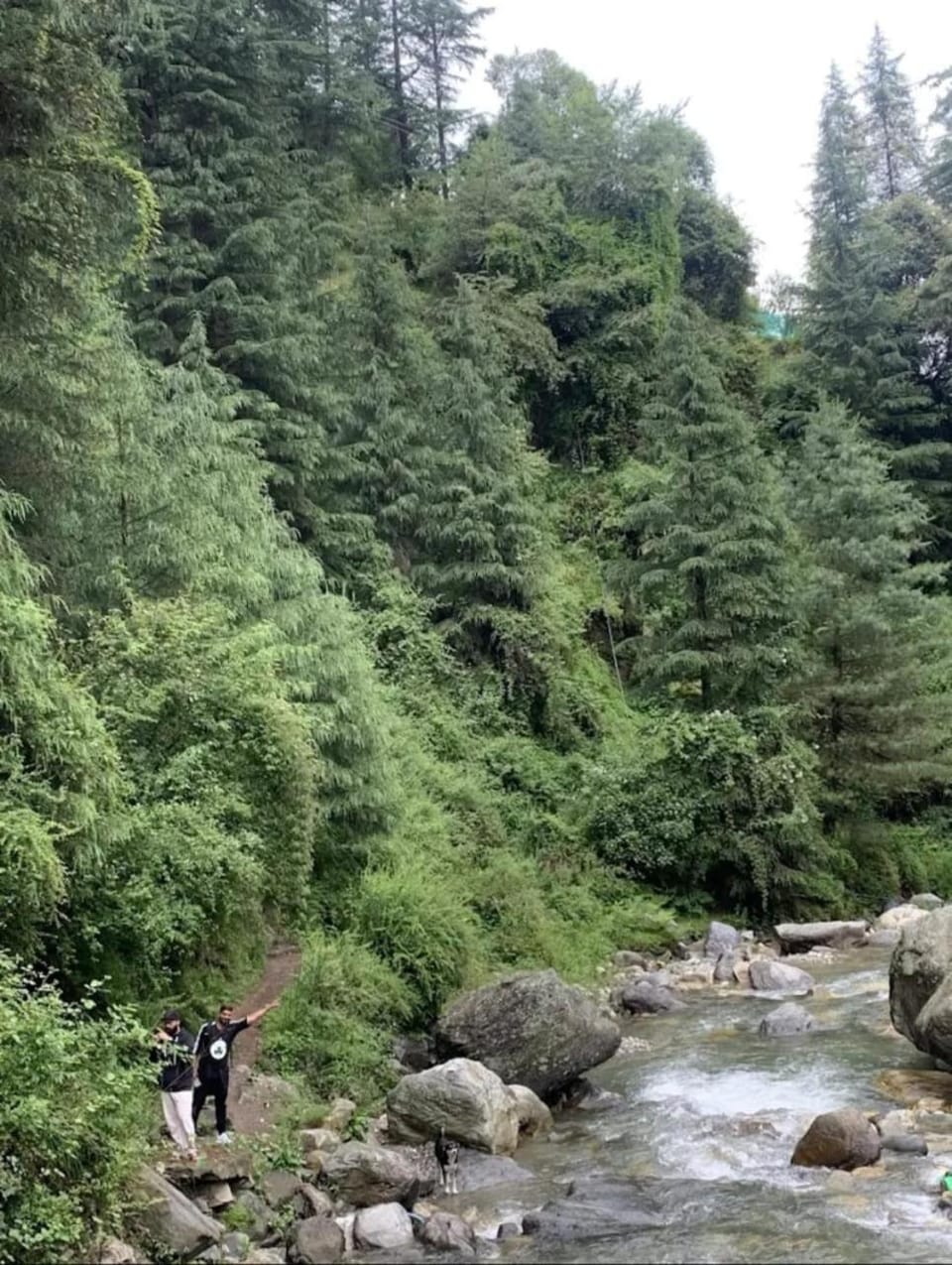 Apple Orchard Cottages and Riverside Homestays Campground/ 
RV Resort in Himachal Pradesh